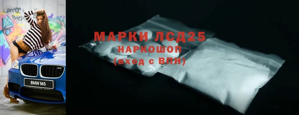 гашик Бабаево