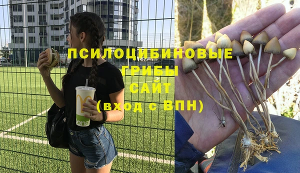 марихуана Нефтекумск