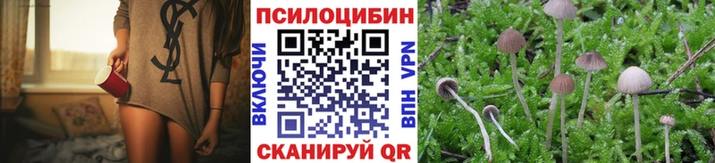 Галлюциногенные грибы прущие грибы  omg tor  Грозный 